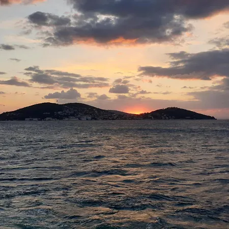 Silmeye Calisiyorum Adalar