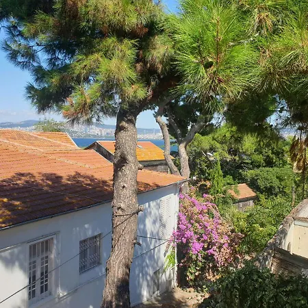 Silmeye Calisiyorum * Adalar